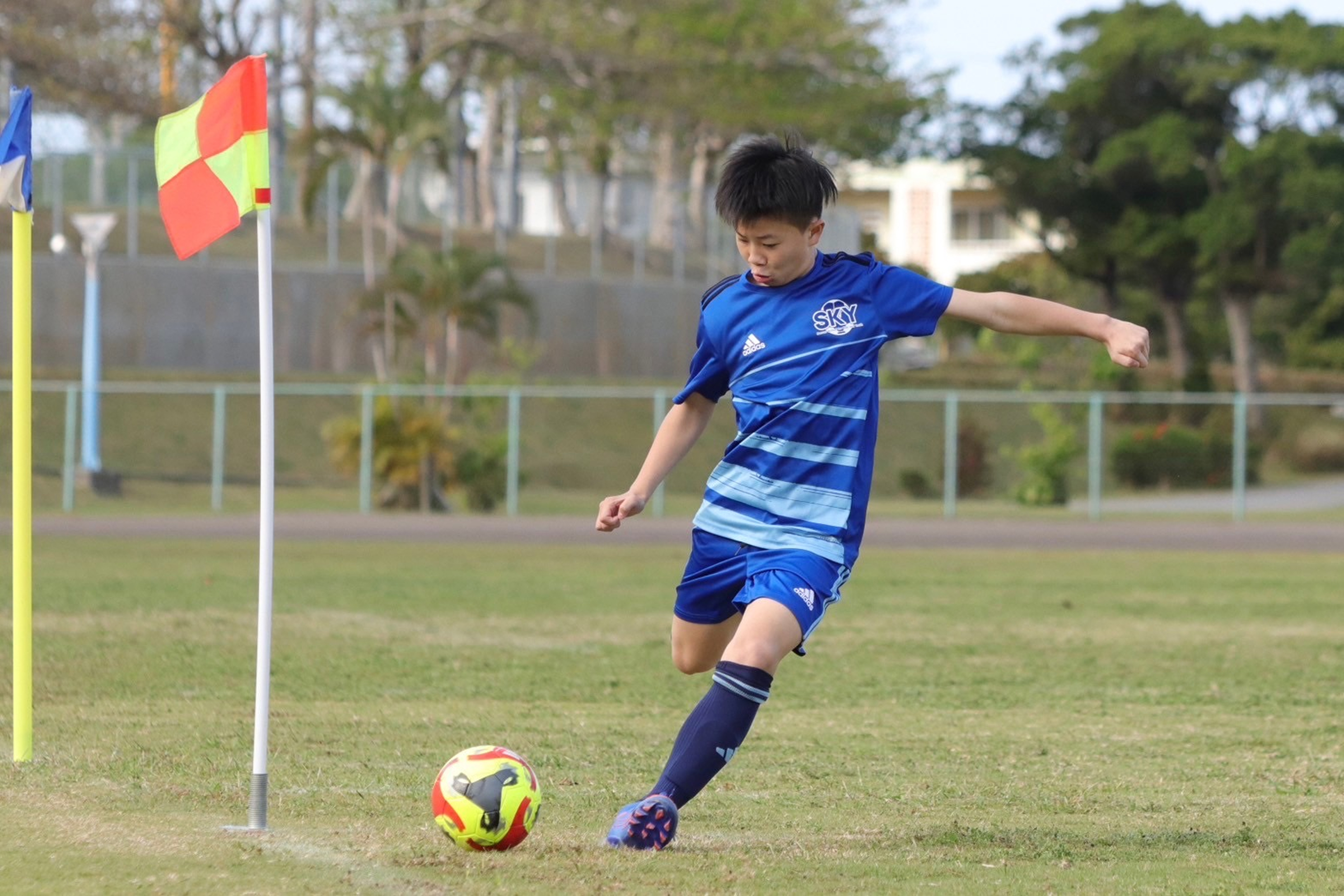 未来に続く、一歩ずつの成長